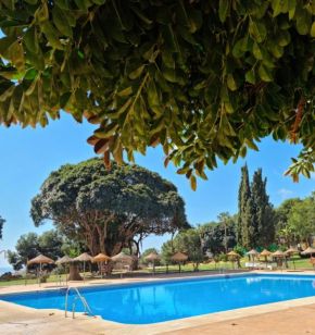 Lemon Tree Apartment